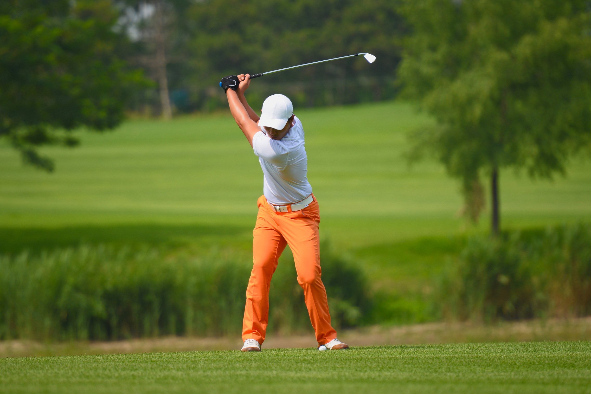 Professional Golf Swing
